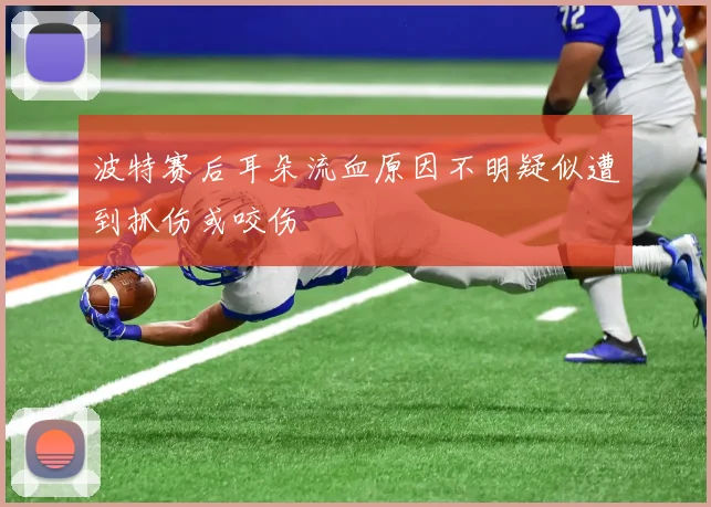 波特赛后耳朵流血原因不明疑似遭到抓伤或咬伤