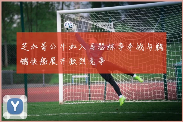 芝加哥公牛加入马瑟林争夺战与鹈鹕快船展开激烈竞争